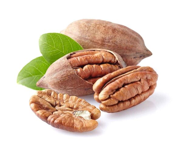 Fresh Pecans from georgia - Image 2
