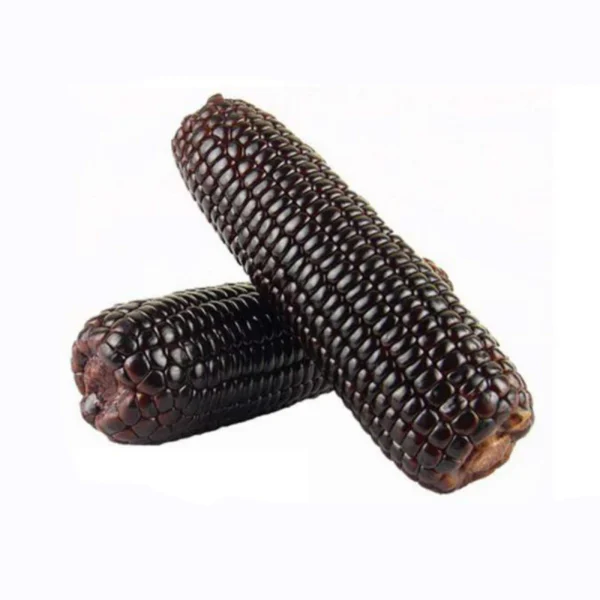 Black Waxy Corn S