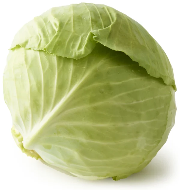 Cabbage (Brassica oleracea)