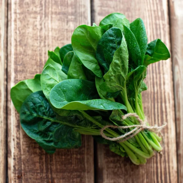 Spinach (Spinacia oleracea)